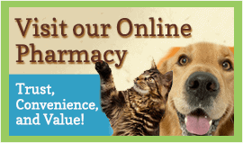 Visit Our Online Pharmacy