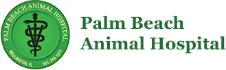 Palm Beach Animal Hospital